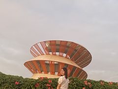 -光明小镇欢乐田园