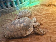 -华夏文旅海洋公园