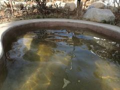 -太白山御龙湾温泉
