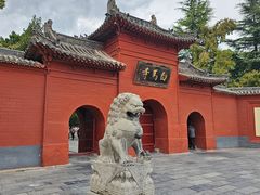-洛阳白马寺