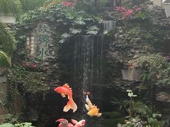 -白天鹅宾馆·流浮阁咖啡厅