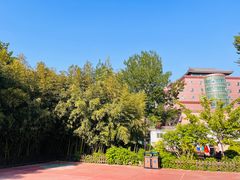 -莲花池公园