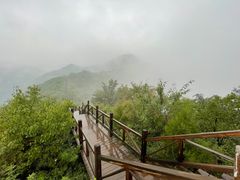 -大岭沟猕猴桃谷风景区