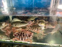-海门岛七号餐厅