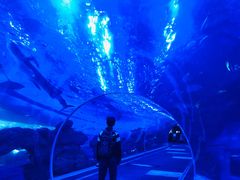 -成都浩海立方海洋公园