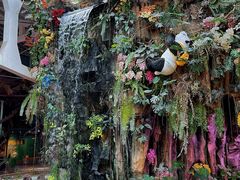 -正佳雨林生态植物园