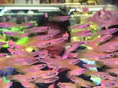 -三旗百汇商品城