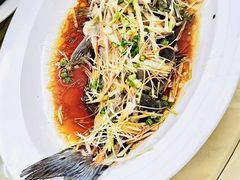 -柳周农家菜特色老店沙田柚美食(东大街店)