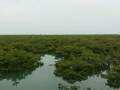 -北海金海湾红树林生态旅游区