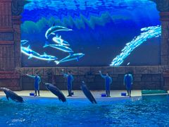 -哈尔滨波塞冬海底世界