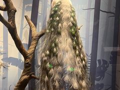 -陕西自然博物馆