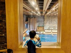 -清河半岛温泉度假酒店