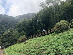 -太鲁阁公园