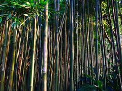 -福建鲤鱼洲酒店