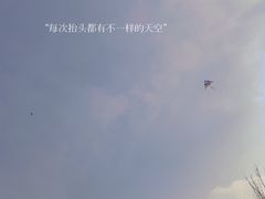 -两河城市森林公园