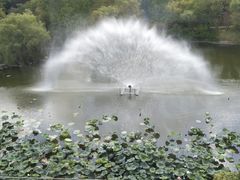 -梅林春晓花园餐厅