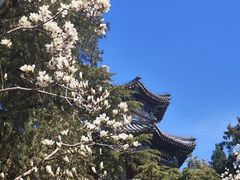 -颐和园