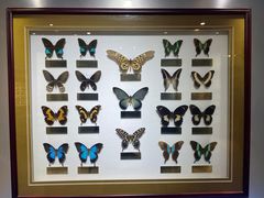 -上海昆虫博物馆