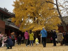 -承恩寺
