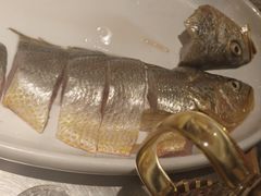 鲜黄鱼-潮界(虹桥新天地店)