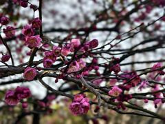 -浙江农林大学(东湖校区)