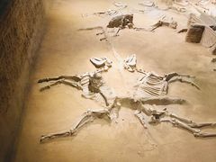 -洛阳周王城天子驾六博物馆