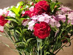 -春暖花开(西溪店)