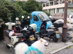 -杭州西湖风景名胜区-满觉陇四眼井