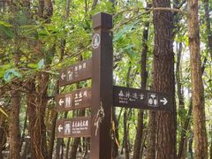 -日照海滨国家森林公园