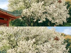 -中山公园