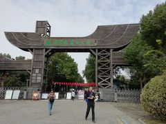 -溱湖国家湿地公园