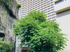 -广州花园酒店