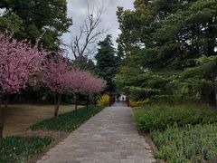 -上海滨江森林公园