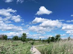 -野鸭湖国家湿地公园