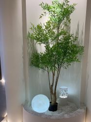 -VE专注问题肌·赛诺龙&科学美肤中心