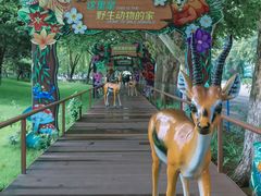 -北京野生动物园