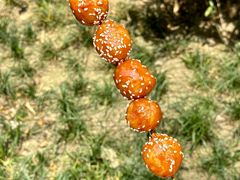 -邓记新一代糖油果子(四川煤管局供销公司职工宿舍店)