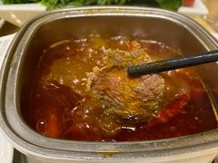 -清真军邺·金富苑肥牛(石坡街旗舰店)