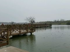 栈桥-上海海湾国家森林公园