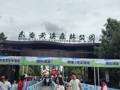 -黄海国家森林公园