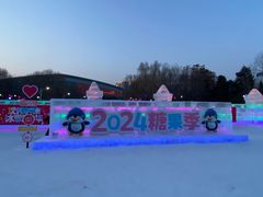 -沈阳奥体冰雪嘉年华