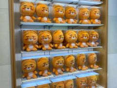 -KAKAO FRIENDS(弘大店)