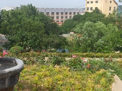 -清风小镇闯关东影视基地