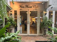 -Fern Forest Cafe