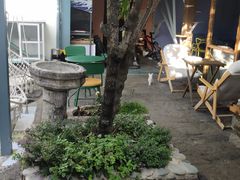 -喵屿·大理花园猫咖