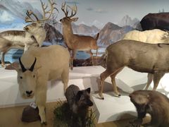 -陕西自然博物馆