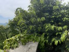 -莫干山风景区