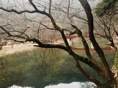 -五泄景区