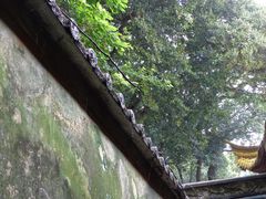 -普陀山慧济禅寺