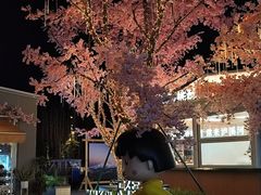 -首开·龙湖成都西宸天街